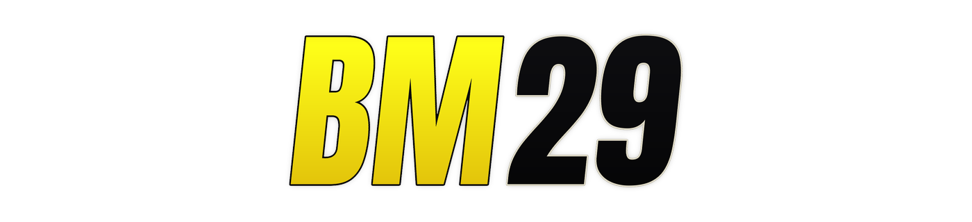 bm29